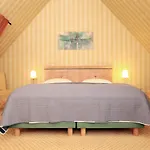 Apartmán Haus Muschel App 474 *