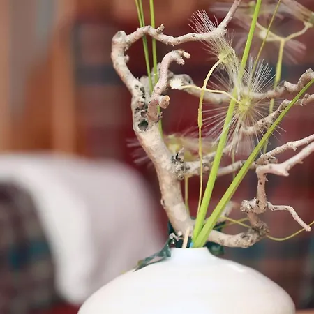 Haus Muschel App 474 *