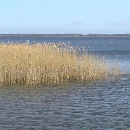 Haus Muschel App 474